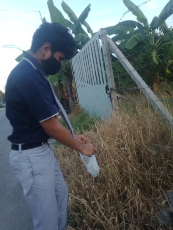 เก็บขยะ