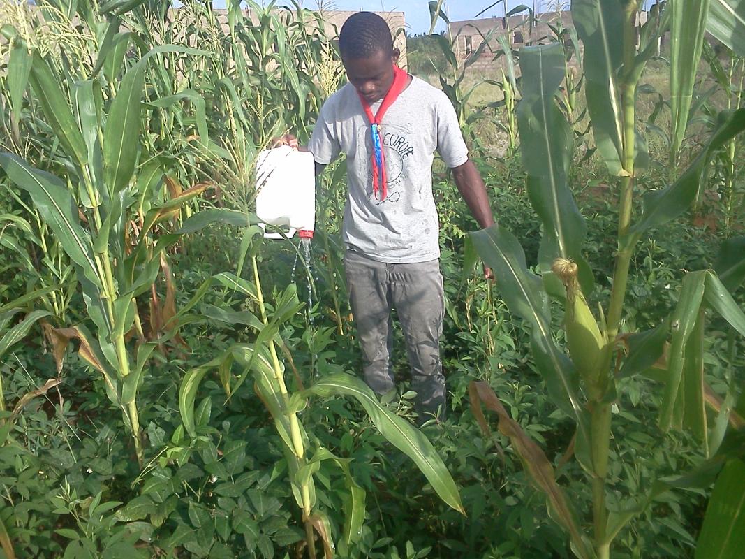 We Have Food - thanks to Scouting Skills