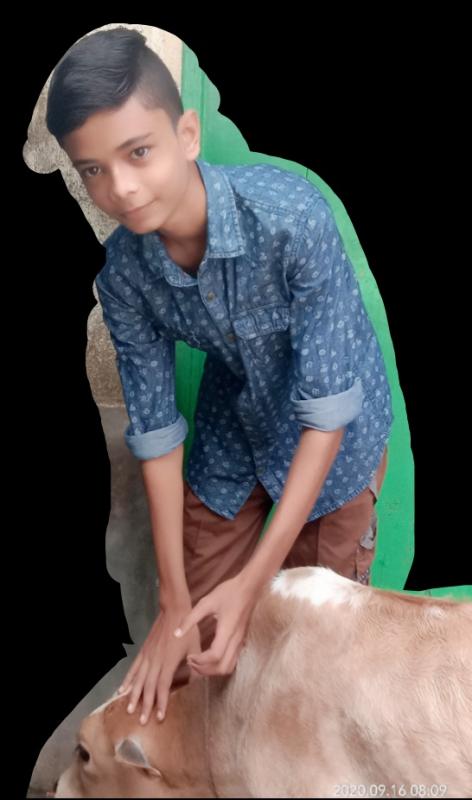 কি হয় peace 