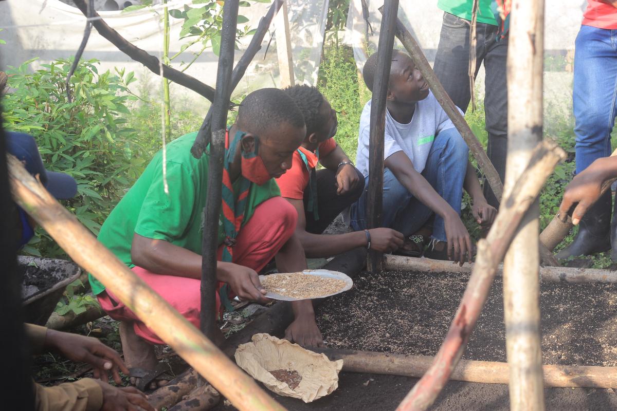 AMENAGEMENT D'UN GERMOIRE DE 10.000 ARBRES PAR 30 PAIRS ECOLOGISTES EN VILLE DE GOMA 