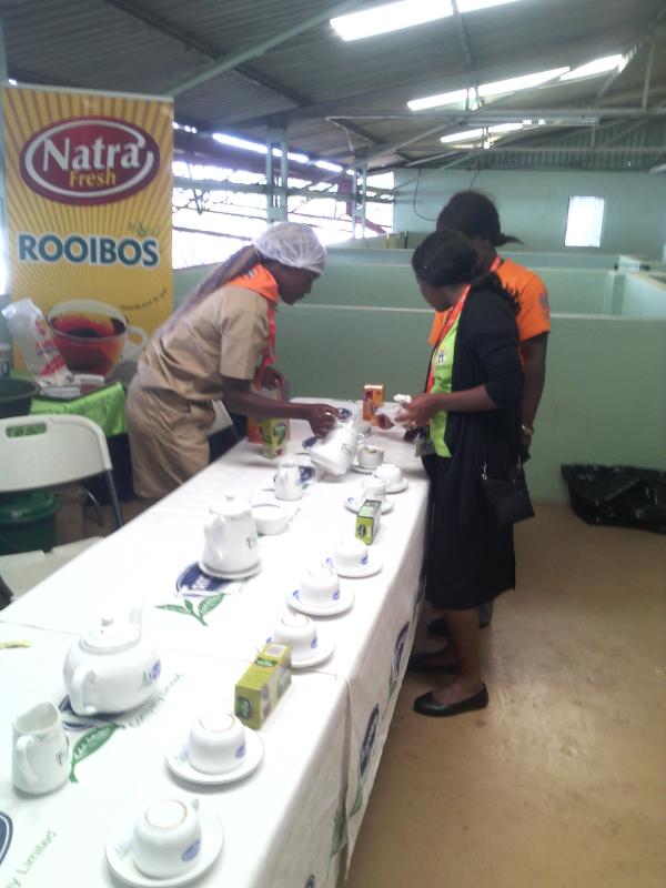 # Scouts make tea from Tanganda health products 