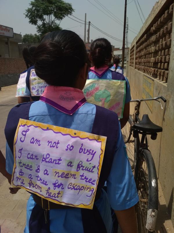 Scouts share the go green message