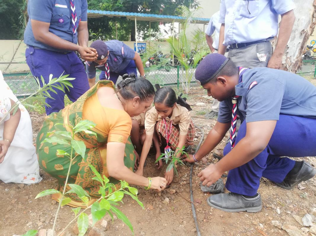 world environment day