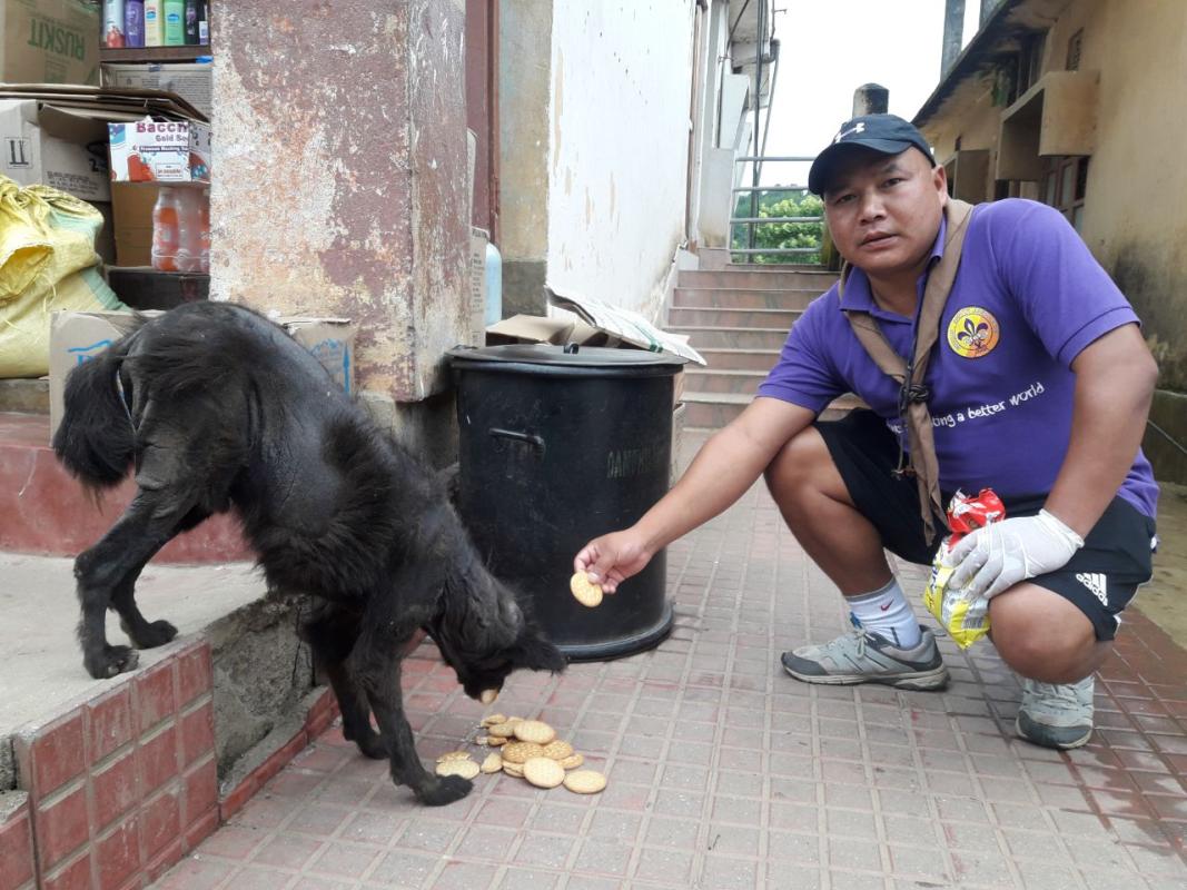 FEEDING STREET DOGS