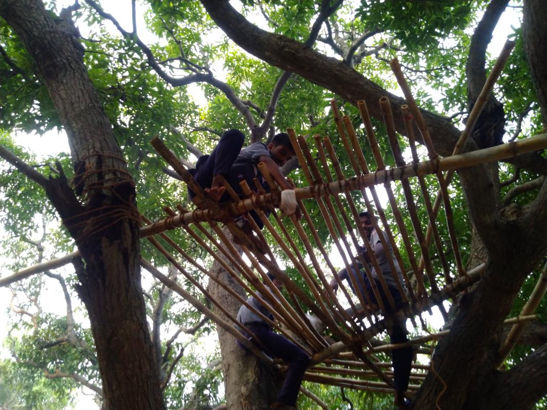 Overnight Adventure Tree Top Shelter