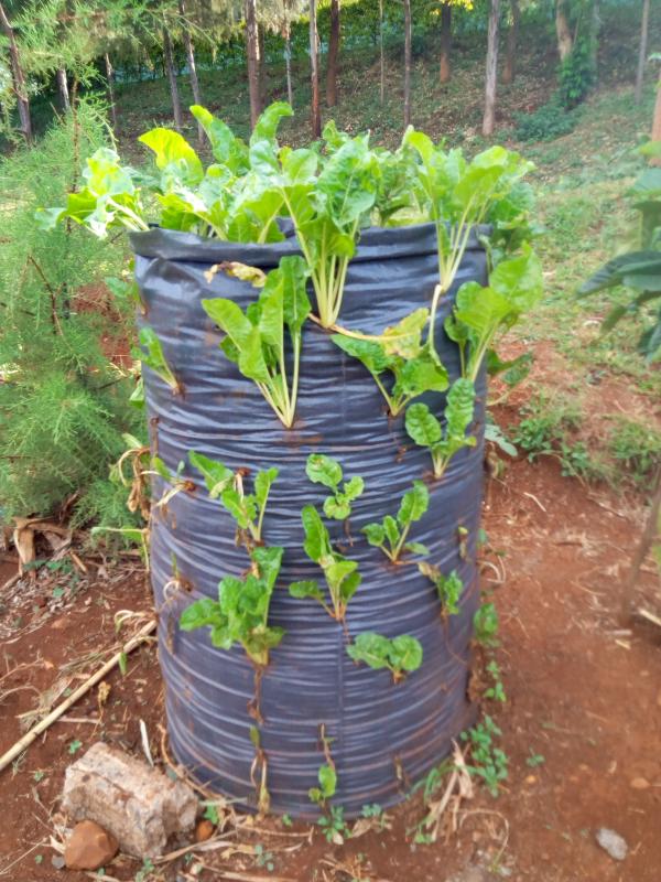 SMART FARMING