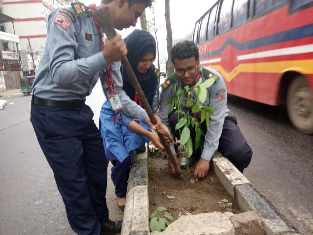 বৃক্ষরোপণ কর্মসূচি 