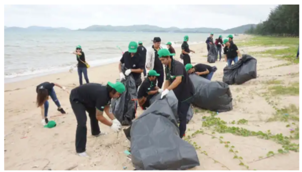 ทำความสะอาดบริเวณชายหาด