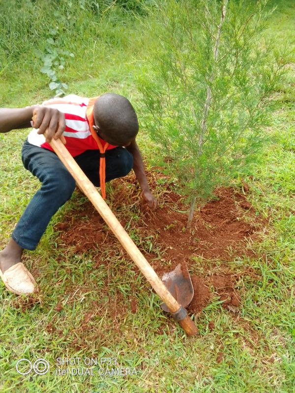 world environment day