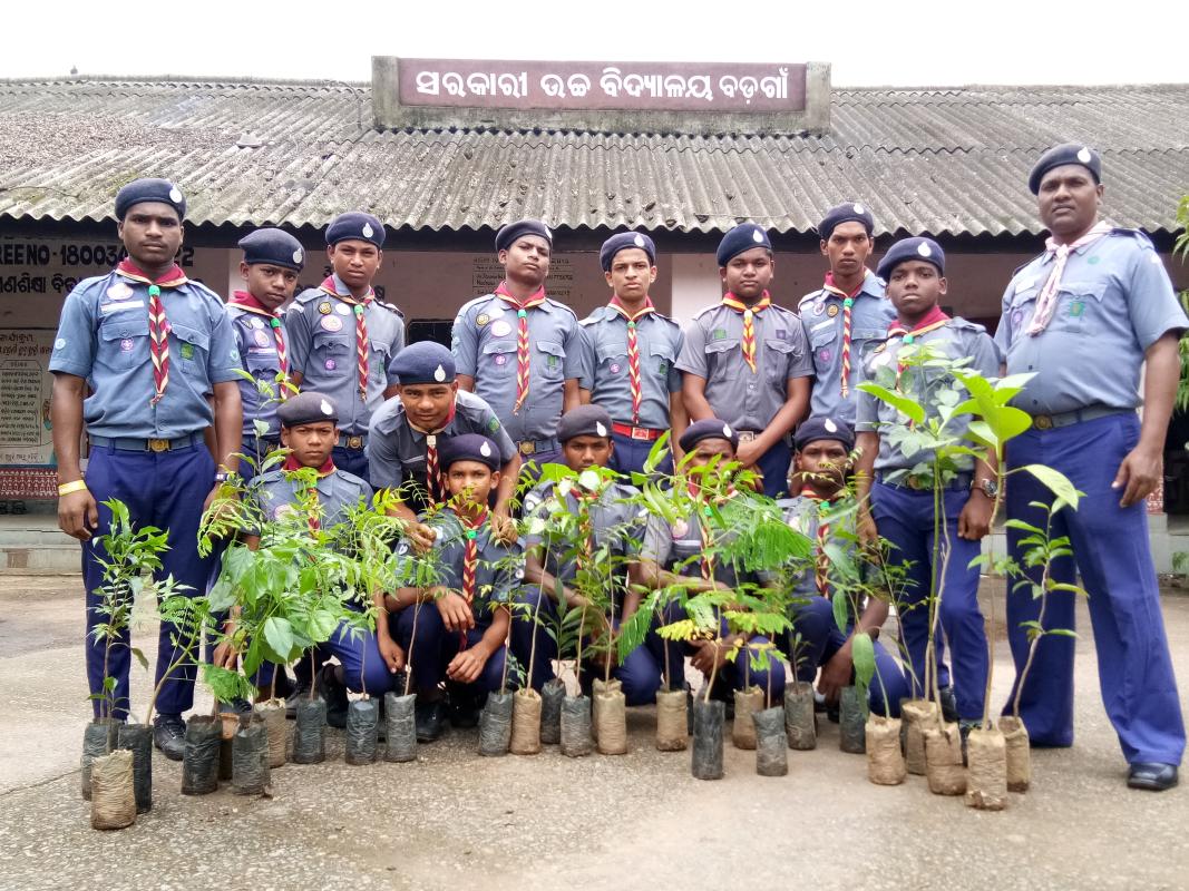 plantation programme 