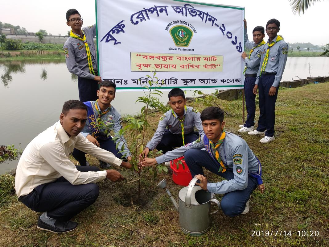 Tree plantation 