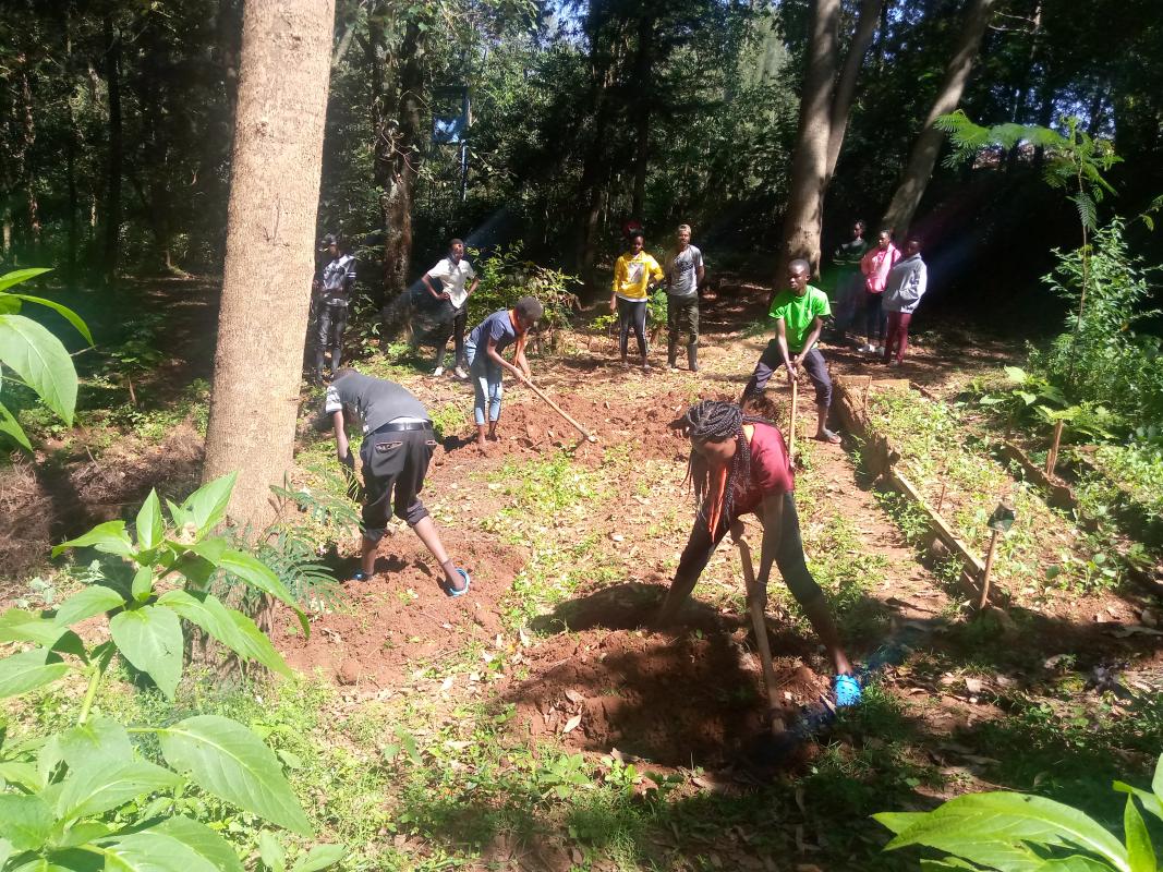 Service hours in environmental conservation
