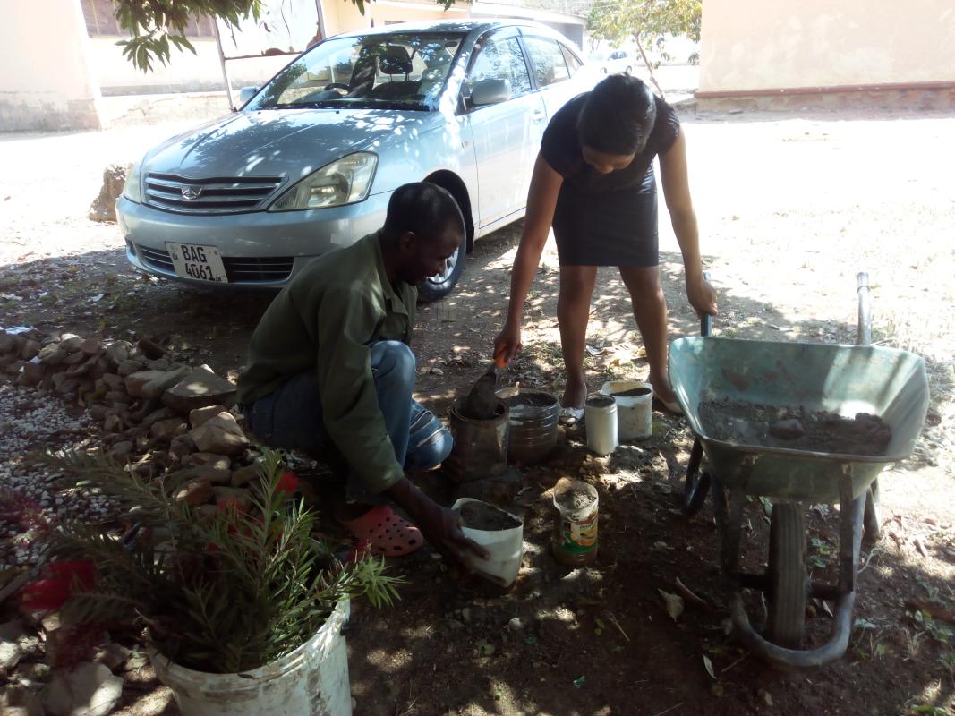 Zambia Scouts Secretariat Start Tree Planting Campaign