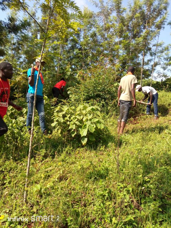 SCOUTS CONSERVING THE ENVIRONMENT BY WEEDING THE BAMBOOS ALONG THE RIPARIAN AREAS.