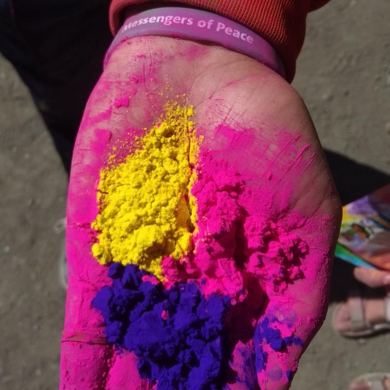 holi celebration 