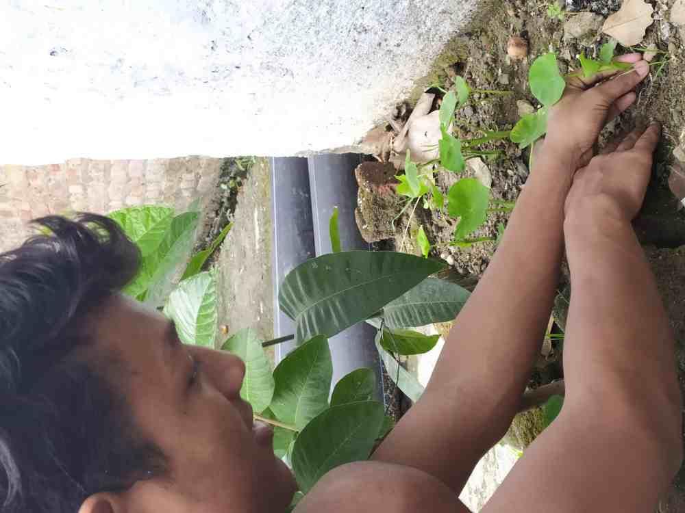 Environment & Sustainability Challenge 4 – #Goorganic