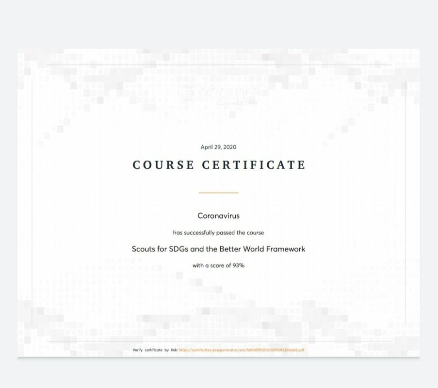 Digital Scouting Guiding Challenge 2 – #E-Learning