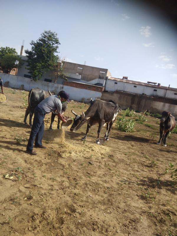 संकल्प प्रोजेक्ट