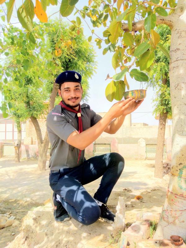  पक्षियों के लिए हाथ से परिंडे बनाएं