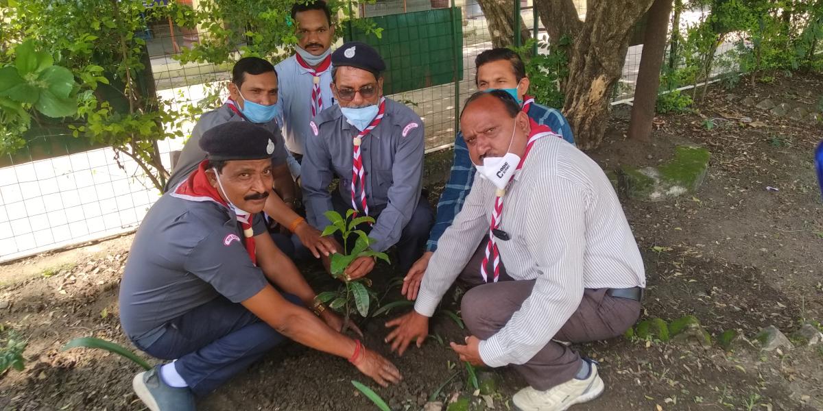Plantation and MissCopy Day was celebrated