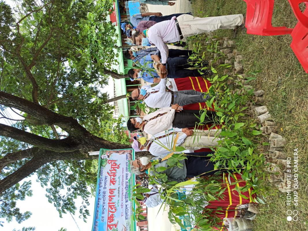 বৃক্ষ রোপন কর্মসূচী