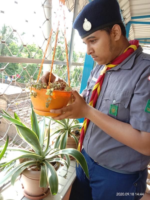 International day of peace day activities 