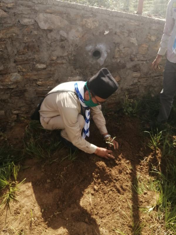 plantation