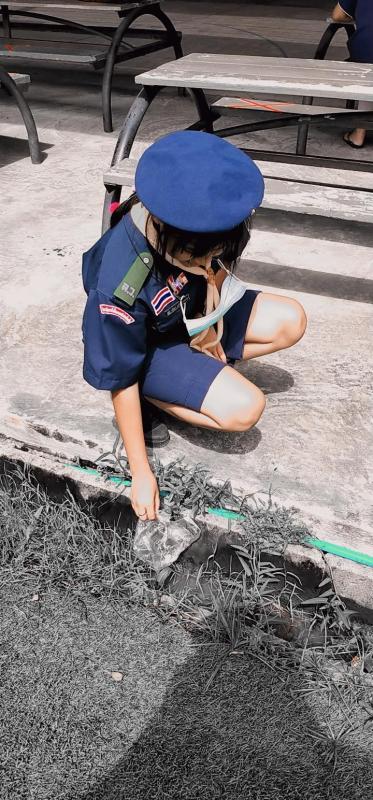 เก็บถุงพลาสติก