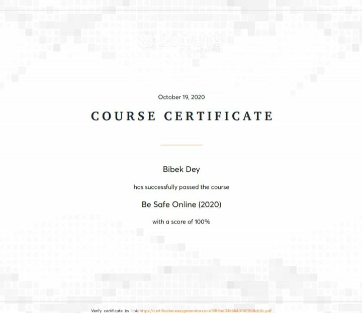 BE SAFE ONLINE(2020)