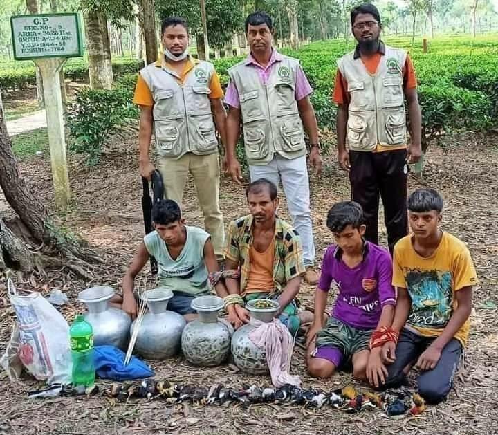 পাখি মাড়ার অপরাধ 