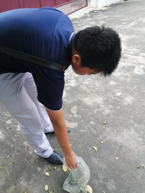 เก็บขยะ