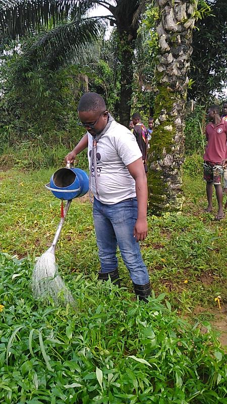 Scout Food against Covid-19 