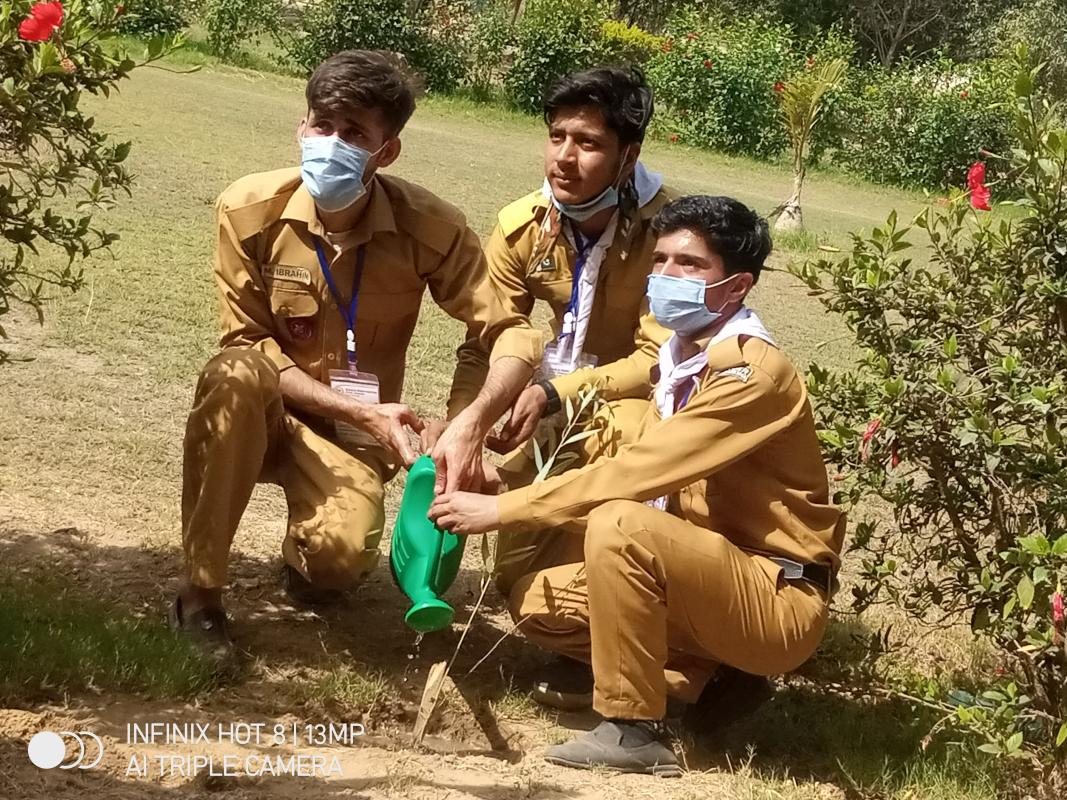 plant is very important for life  and for land aik to yeh mahool yani environment ko saaf rakta hai aur bhe bht faida hai plant ka