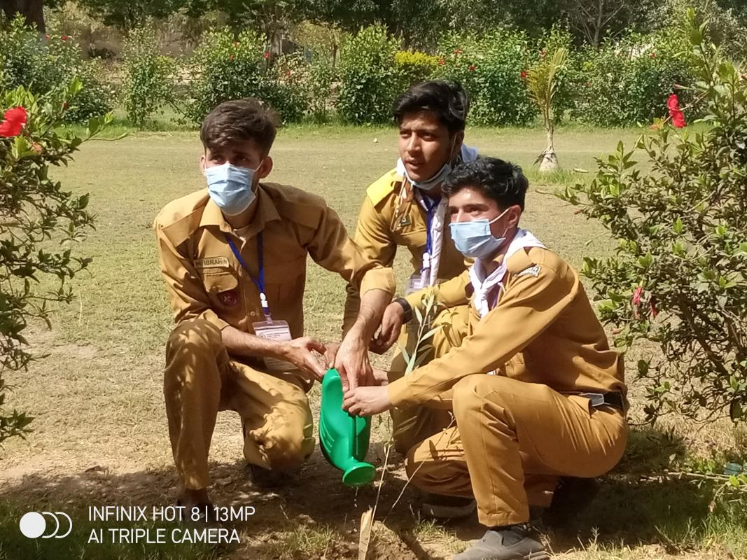 plant bht important hai enviroment kai liyai aur plant mahool ko bhe saf rakta hai hamai chahiyai kai ham aik 1 plant zaroror lagai chahi house mai ho ya school etc laikin zarori lagani hai