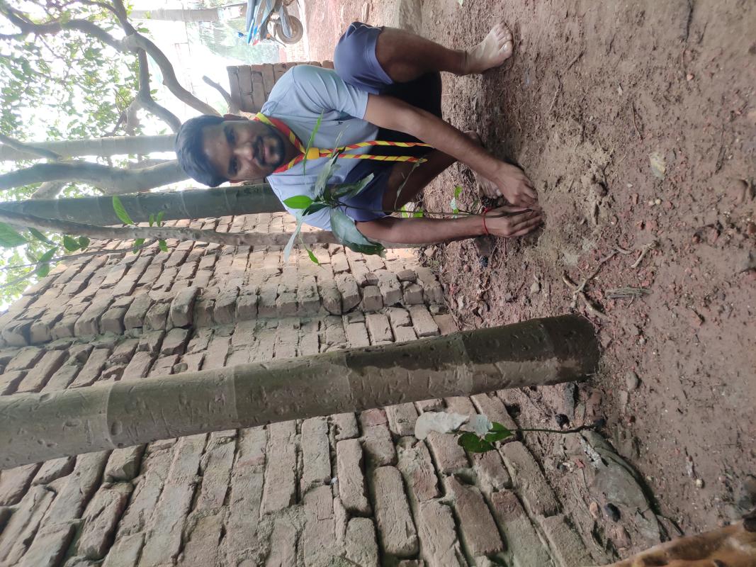 বৃক্ষরোপণ কর্মসূচি 2020