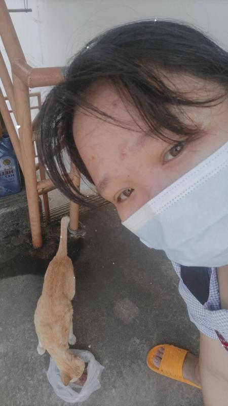 ทำบุญให้อาหารน้องแมวจร 