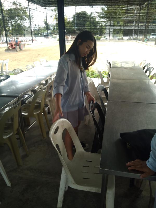 จัดเก้าอี้