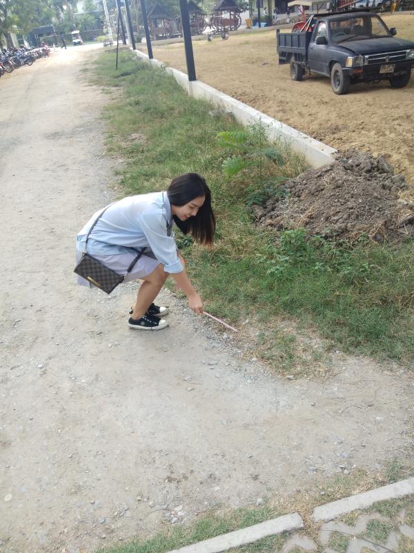 เก็ยขยะ