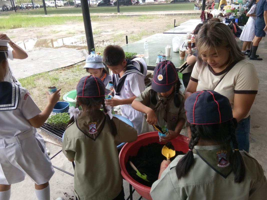 ปลูกต้นไม้