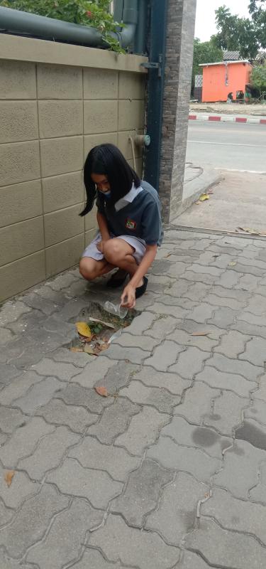 เก็บขยะ