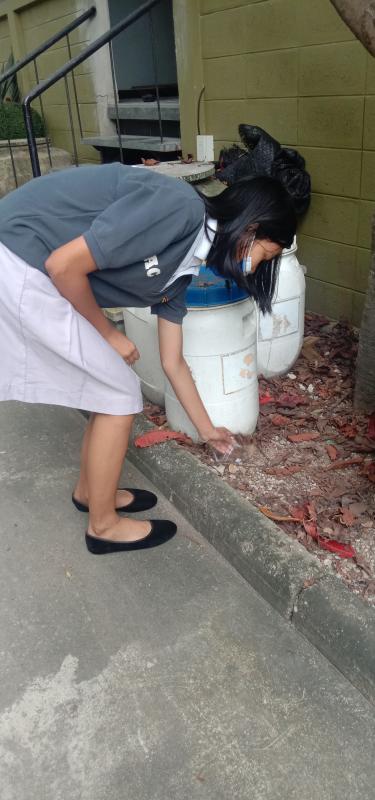 เก็บขยะ