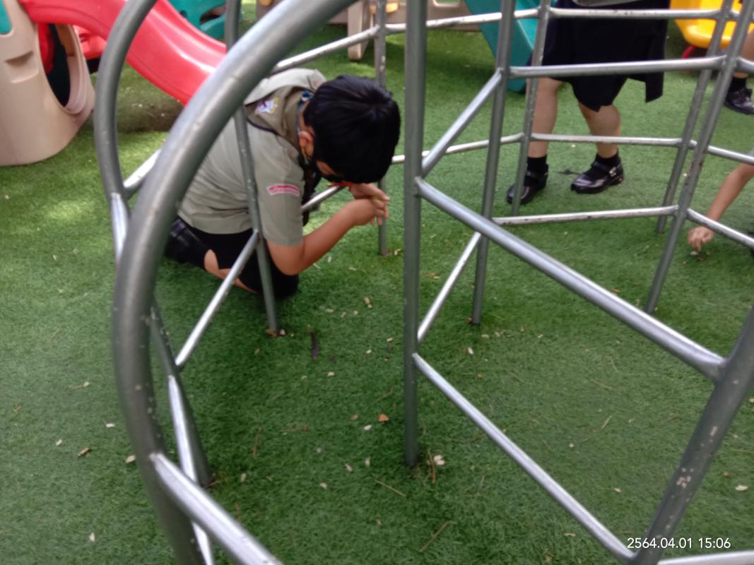 กิจกรรมจิตอาสา