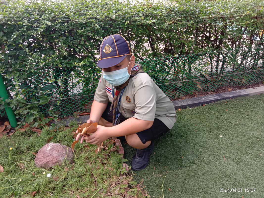 กิจกรรมจิตอาสา