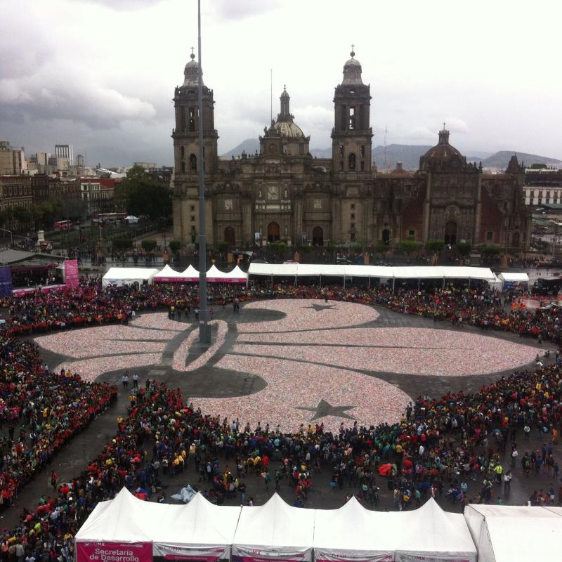 La Flor de Lis Más Grande del Mundo 2016