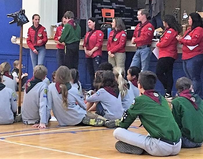 In praise of the shy Scout