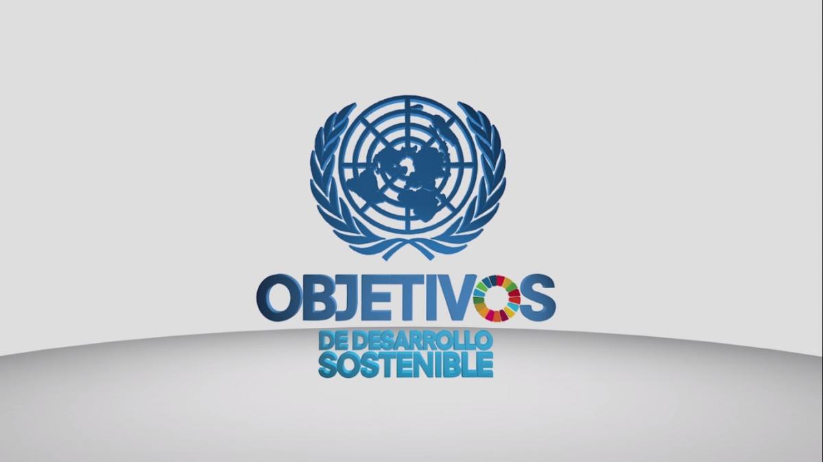 Objetivos de Desarrollo Sostenible