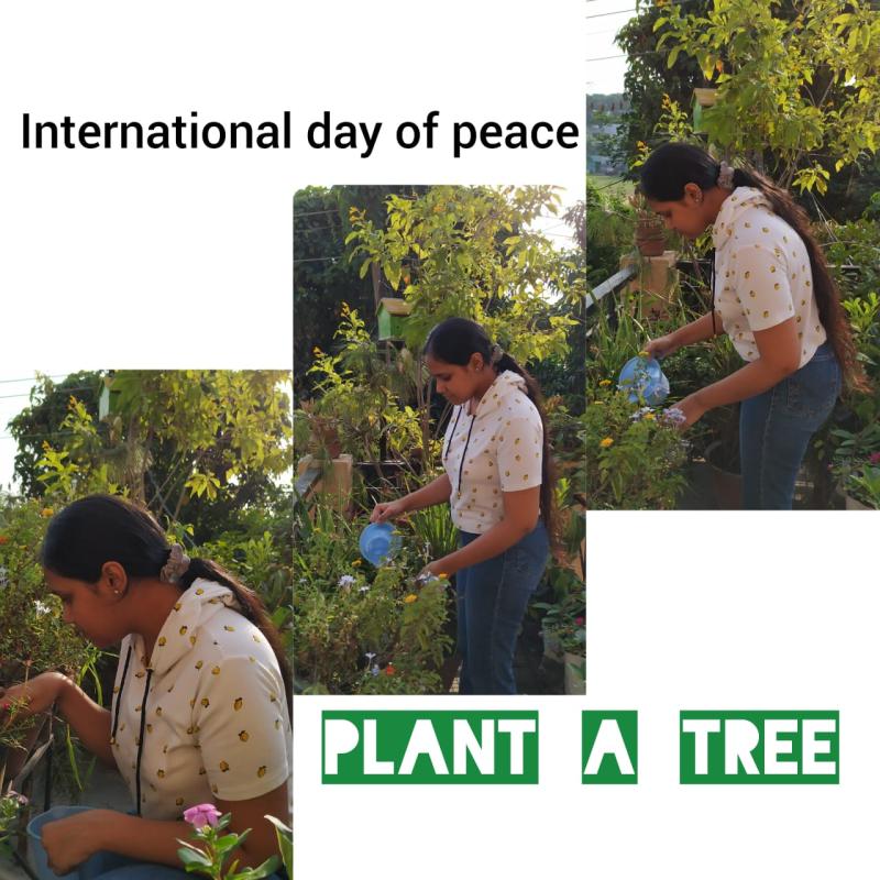 INTERNATIONAL DAY OF PEACE