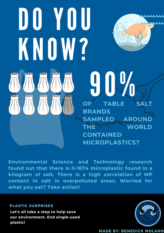 PLASTIC SURPRISES: DIGITAL POSTER/INFOGRAPHIC