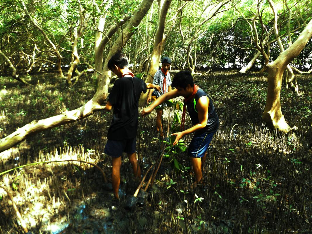BSP helps the Mangrove Restoration project 