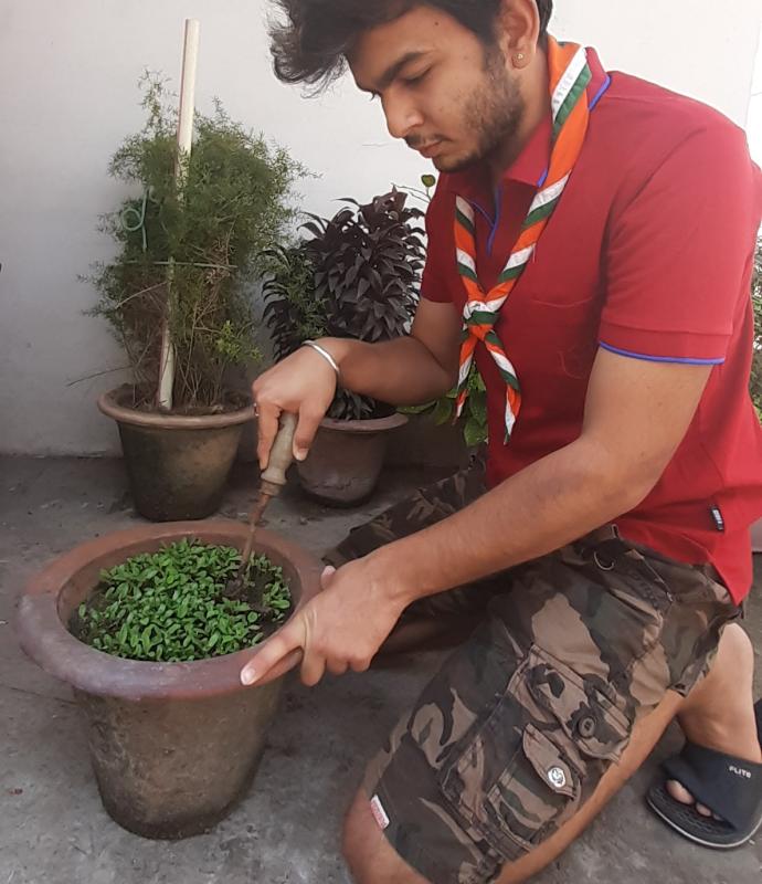 #GoOrganic #HomeFarm